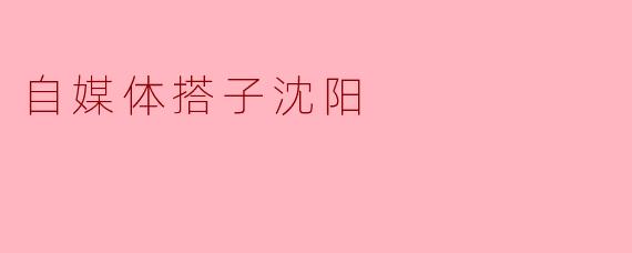 自媒体搭子沈阳