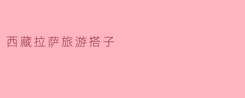 在拉萨旅行时,有什么推荐的搭子活动或地方吗?**