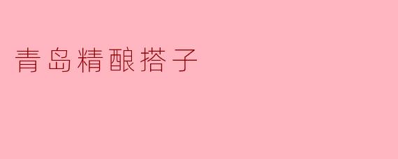 ### 青岛精酿搭子的魅力与探索