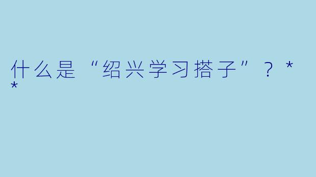 什么是“绍兴学习搭子”？**