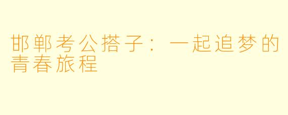 邯郸考公搭子：一起追梦的青春旅程
