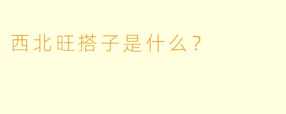西北旺搭子是什么？  