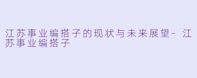 江苏事业编搭子的现状与未来展望-江苏事业编搭子