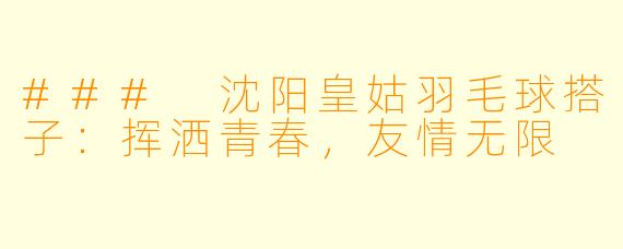 ### 沈阳皇姑羽毛球搭子:挥洒青春,友情无限