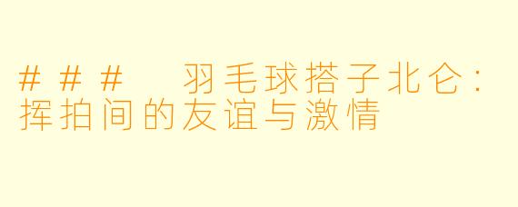 ### 羽毛球搭子北仑：挥拍间的友谊与激情