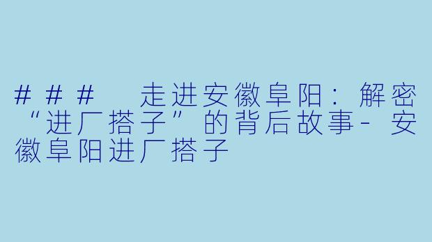### 走进安徽阜阳:解密“进厂搭子”的背后故事