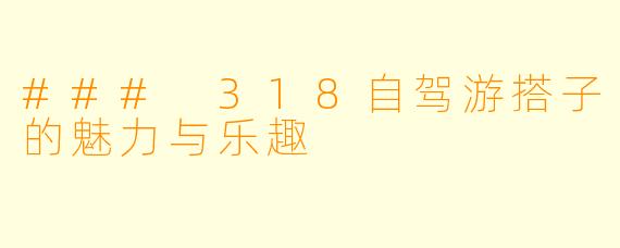 ### 318自驾游搭子的魅力与乐趣