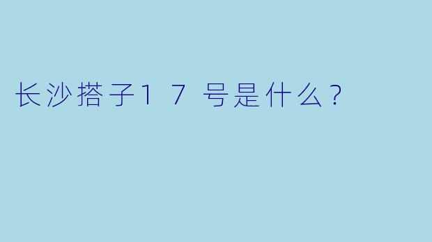 长沙搭子17号是什么？  