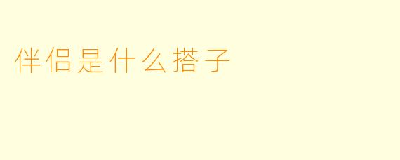 伴侣是什么搭子