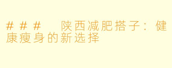 ### 陕西减肥搭子：健康瘦身的新选择
