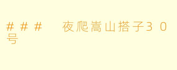 ### 夜爬嵩山搭子30号