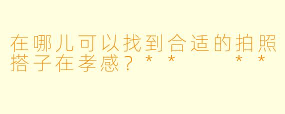 在哪儿可以找到合适的拍照搭子在孝感？**  **