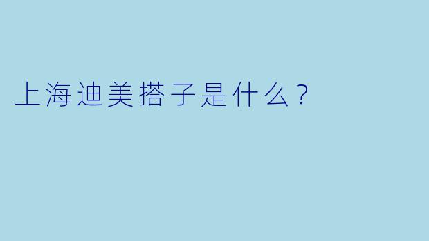 上海迪美搭子是什么？