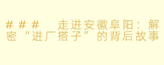 ### 走进安徽阜阳：解密“进厂搭子”的背后故事