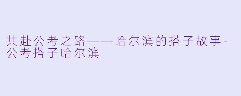 共赴公考之路——哈尔滨的搭子故事-公考搭子哈尔滨