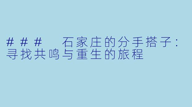 ### 石家庄的分手搭子:寻找共鸣与重生的旅程