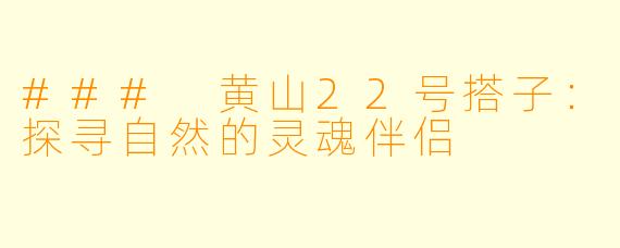 ### 黄山22号搭子：探寻自然的灵魂伴侣