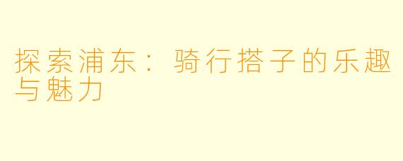 探索浦东：骑行搭子的乐趣与魅力