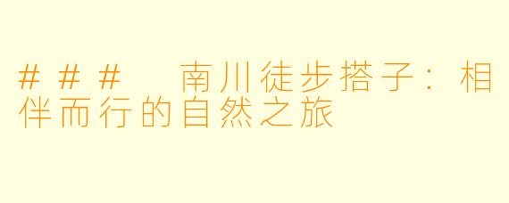 ### 南川徒步搭子：相伴而行的自然之旅
