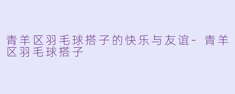 青羊区羽毛球搭子的快乐与友谊