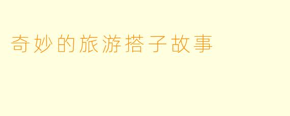 奇妙的旅游搭子故事