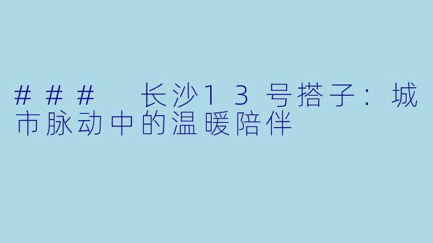 ### 长沙13号搭子：城市脉动中的温暖陪伴