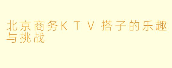 北京商务KTV搭子的乐趣与挑战