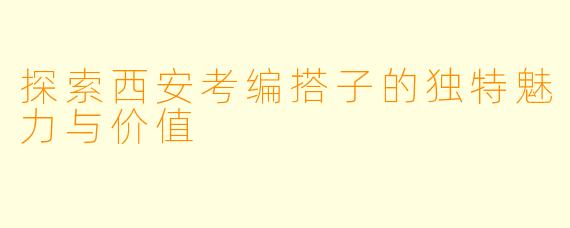 探索西安考编搭子的独特魅力与价值