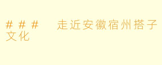 ### 走近安徽宿州搭子文化