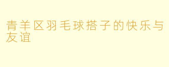 青羊区羽毛球搭子的快乐与友谊
