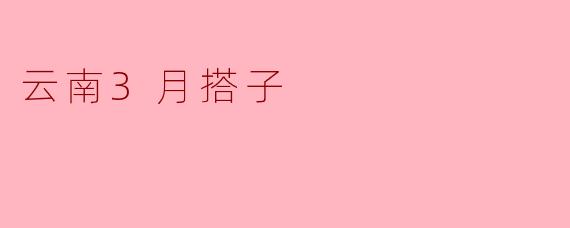云南3月搭子