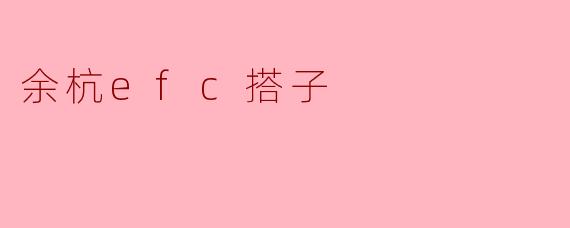余杭efc搭子