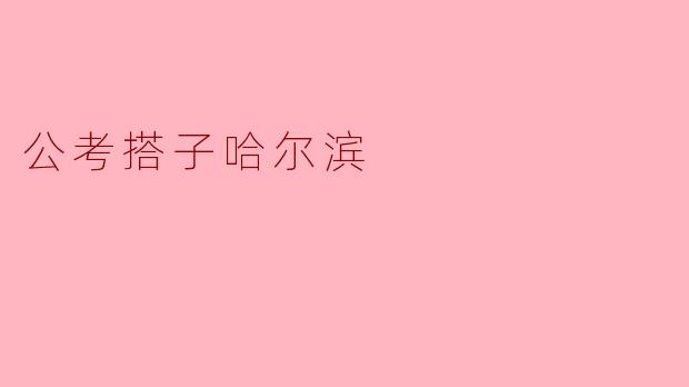 公考搭子哈尔滨