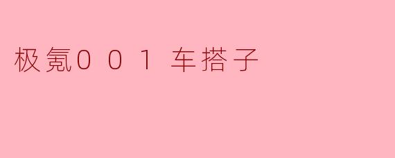 极氪001车搭子