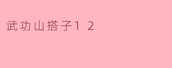 武功山搭子12