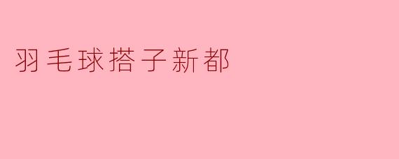 羽毛球搭子新都有什么特别的地方吗？  