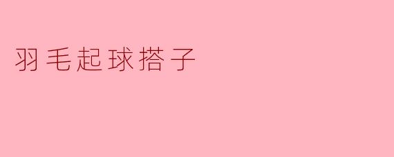 羽毛起球搭子