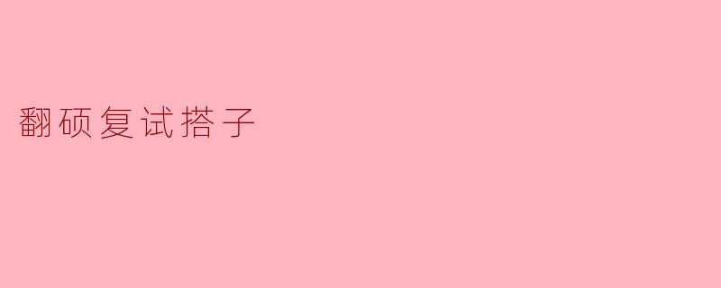 翻硕复试搭子