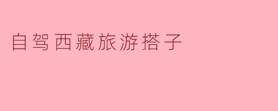 ### 自驾西藏旅游搭子:共享旅途中的美好时光