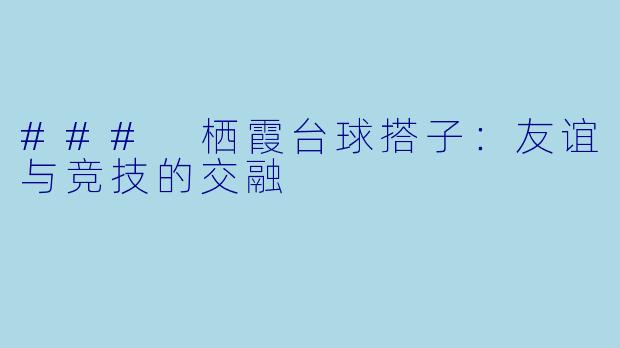 ### 栖霞台球搭子：友谊与竞技的交融