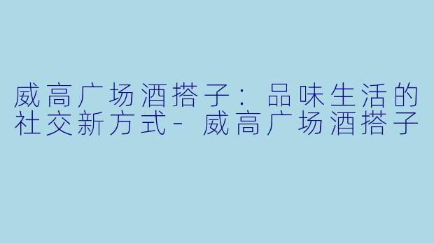 威高广场酒搭子：品味生活的社交新方式-威高广场酒搭子
