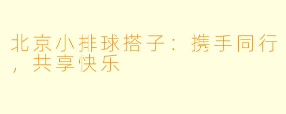 北京小排球搭子：携手同行，共享快乐