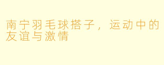 南宁羽毛球搭子，运动中的友谊与激情