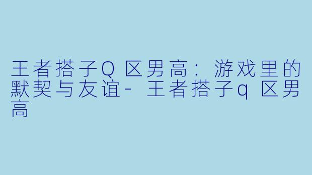 王者搭子Q区男高：游戏里的默契与友谊-王者搭子q区男高