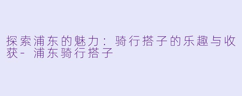 探索浦东的魅力:骑行搭子的乐趣与收获