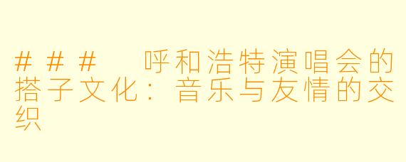 ### 呼和浩特演唱会的搭子文化：音乐与友情的交织