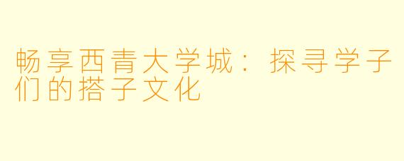 畅享西青大学城:探寻学子们的搭子文化
