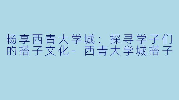 畅享西青大学城：探寻学子们的搭子文化-西青大学城搭子