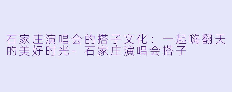石家庄演唱会的搭子文化：一起嗨翻天的美好时光-石家庄演唱会搭子