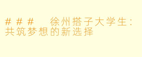 ### 徐州搭子大学生：共筑梦想的新选择